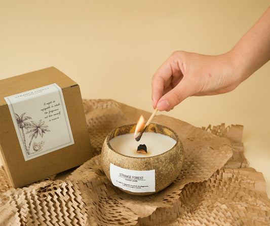【 $9.99 each - Mix & Match 3-Piece Set】Wholesale Natural Coconut Shell Vanilla Candles Bulk - Custom Aromatherapy Soy Wax Candles, Home Decor Gift, Private Label Shipping