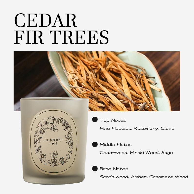 2025 New Frosted Jar Aromatherapy Candle, Plant-Blended Wax with Essential Oil Scent, Home Decoration & Stylish Gift for Souvenir, Available in Multiple Fragrances Including Gardenia & Jasmine